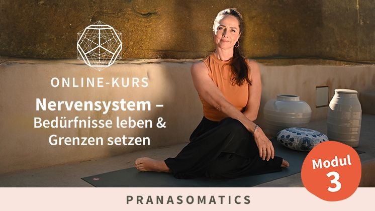 Academy: Nervensystem - Bedürfnisse leben & Grenzen setzen - Modul 3