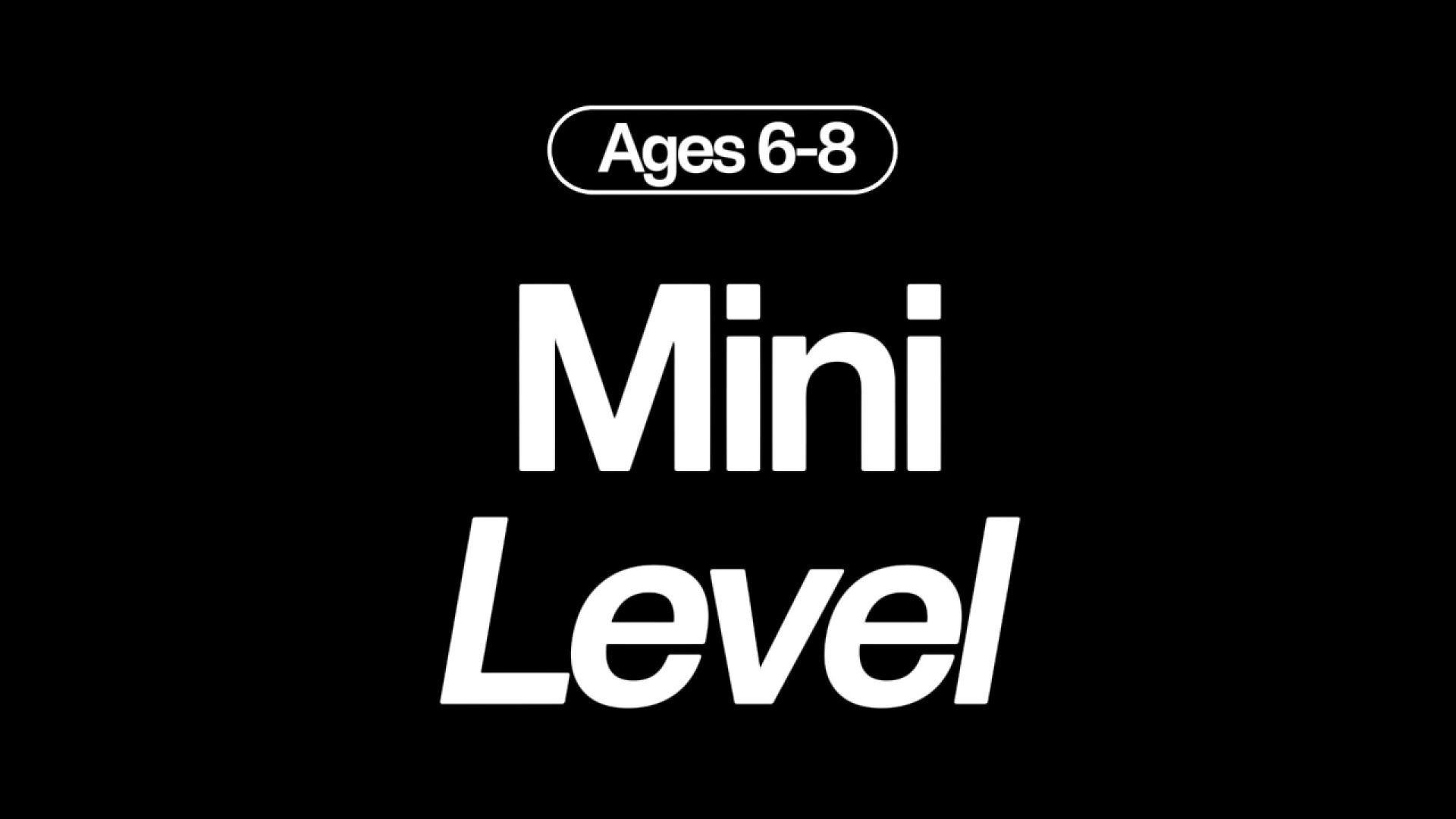 Mini Level (6-8 years old)