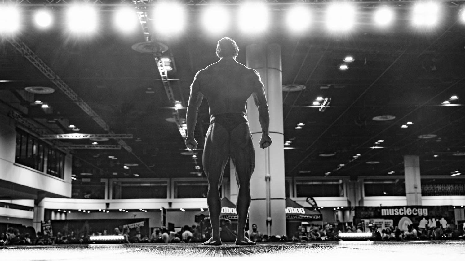 THE ART OF WEIGHTLIFTING (1 year)