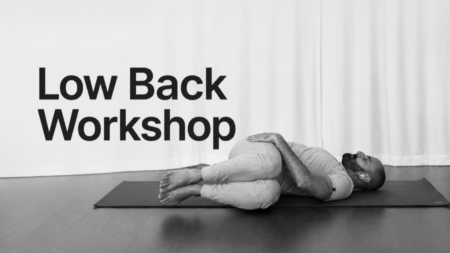 Low Back Workshop
