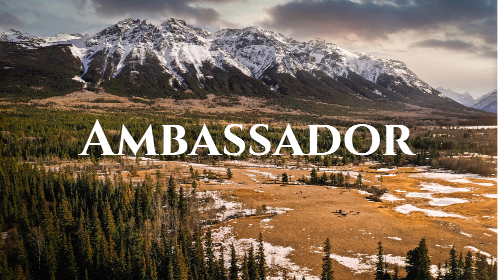 Ambassador - Monthly
