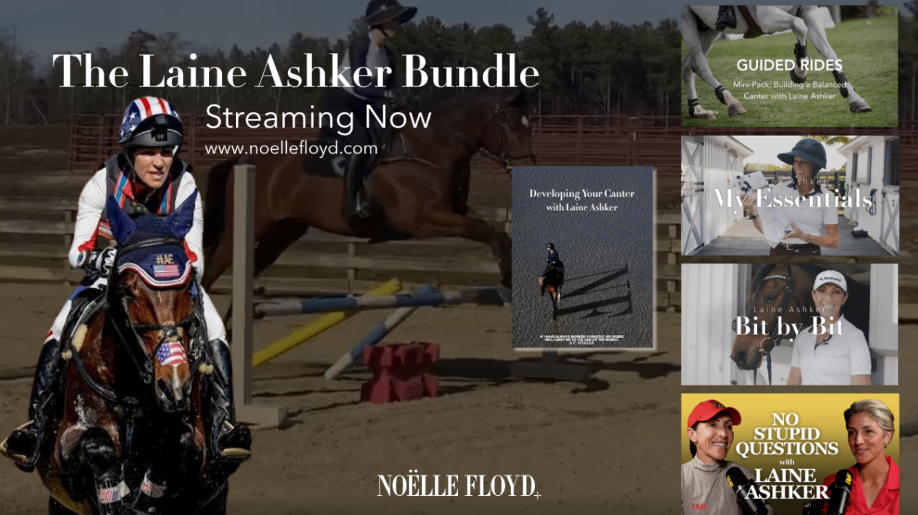 The Lainey Ashker Bundle