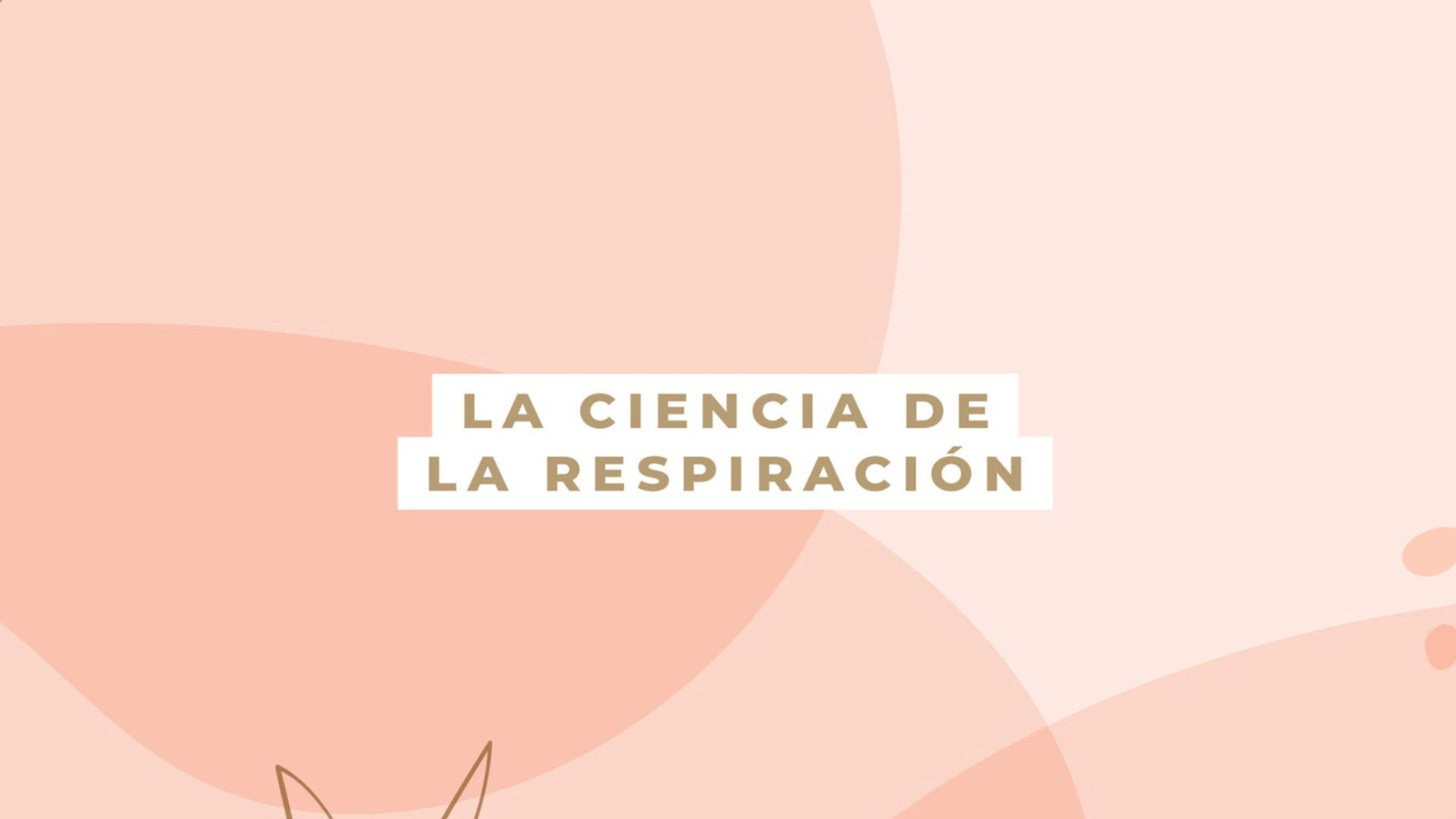 La Ciencia de la Respiración