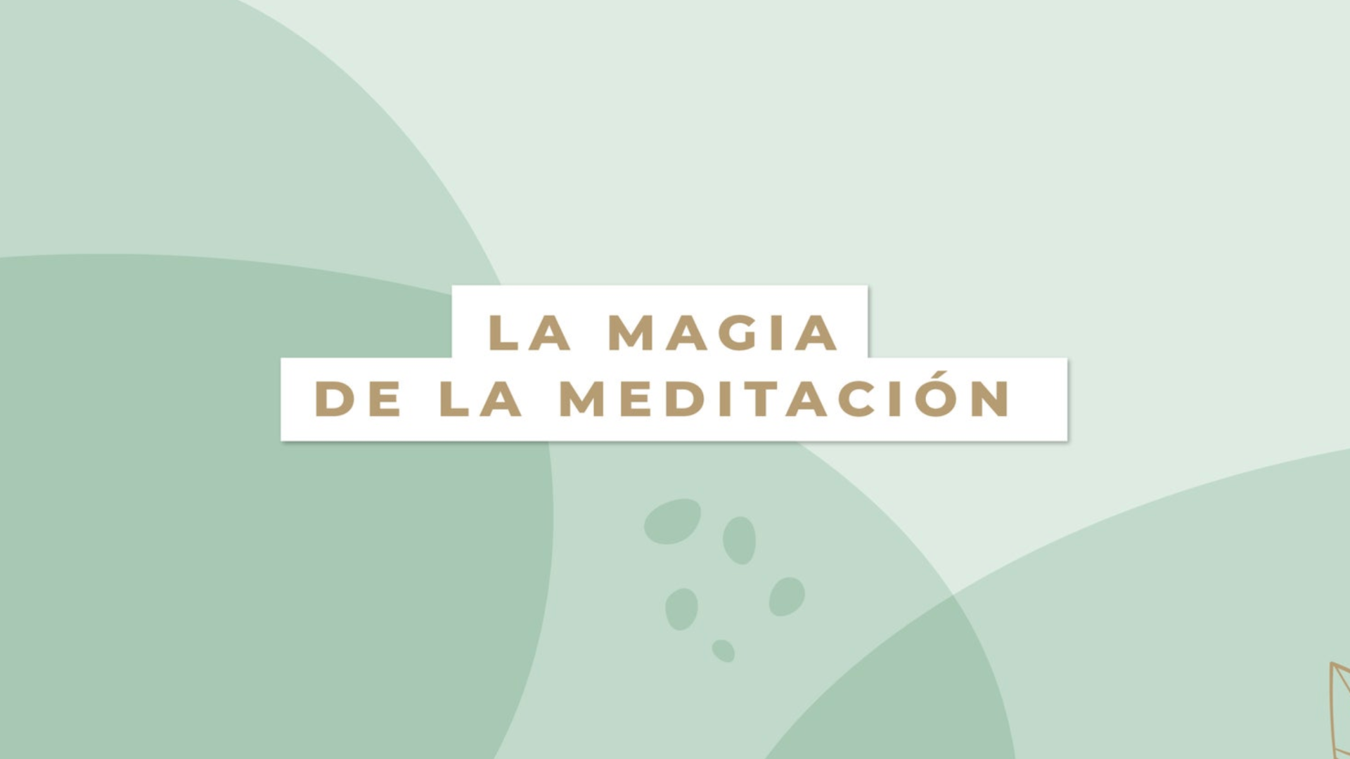 La Magia de la Meditación