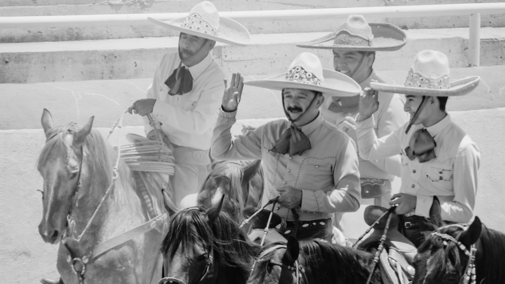 COMPADRE/COMADRE