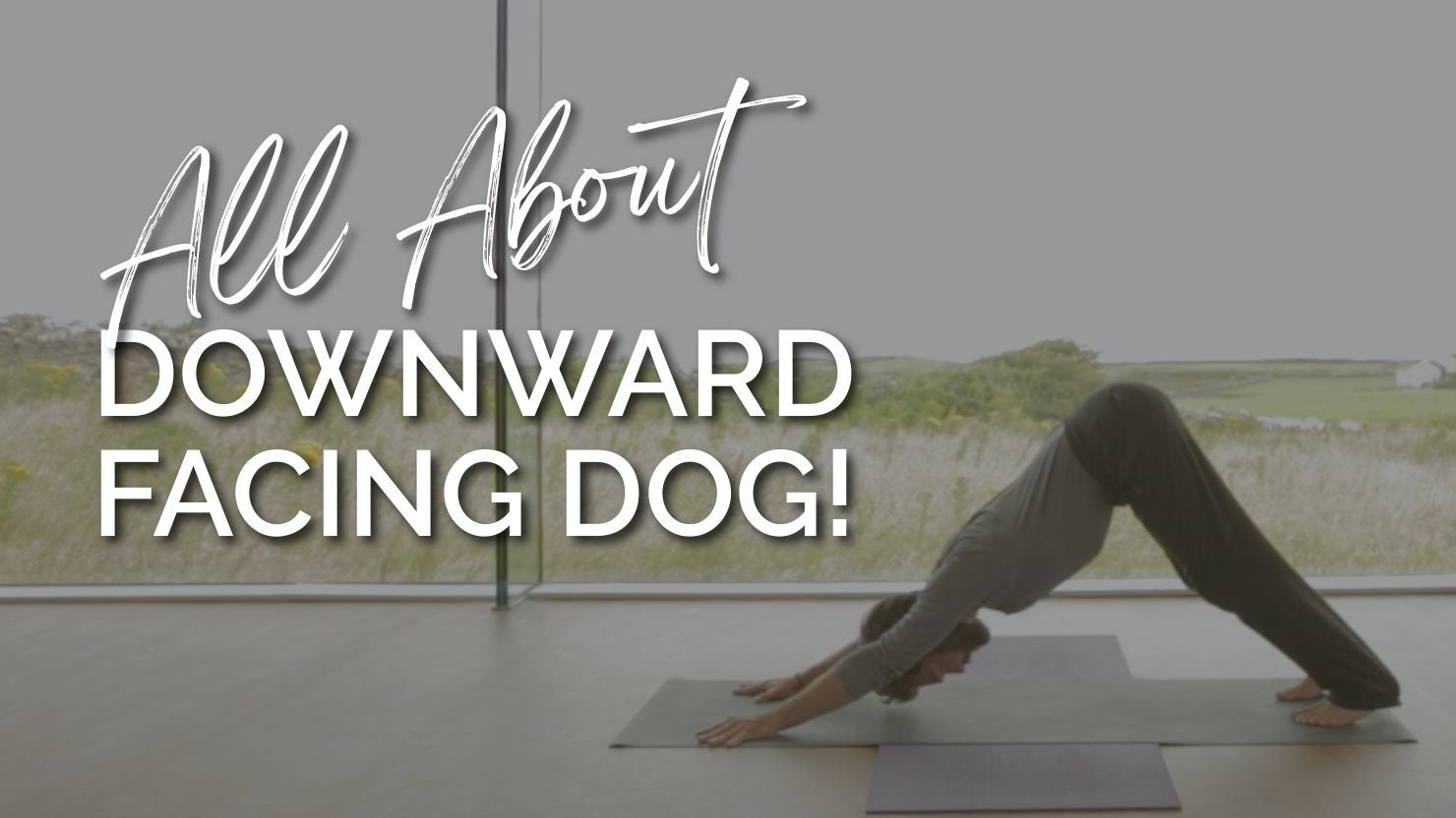 All About Downward Facing Dog!