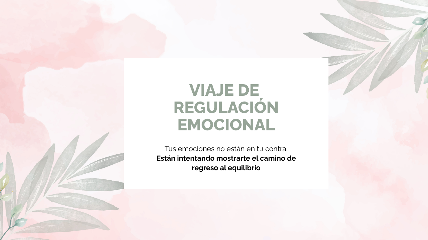 Viaje de Regulación Emocional 6 meses