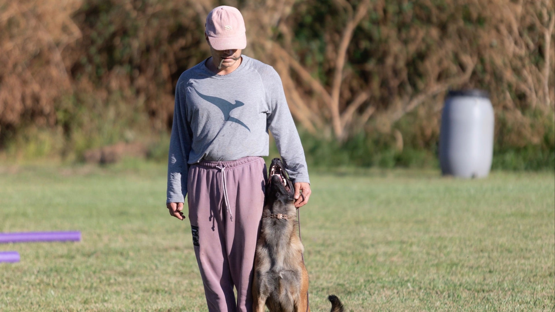 Focused Heeling Bundle
