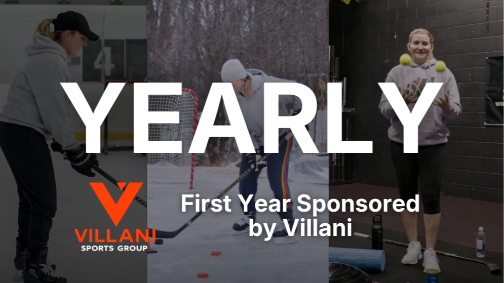 Villani FREE 1 Year Plan
