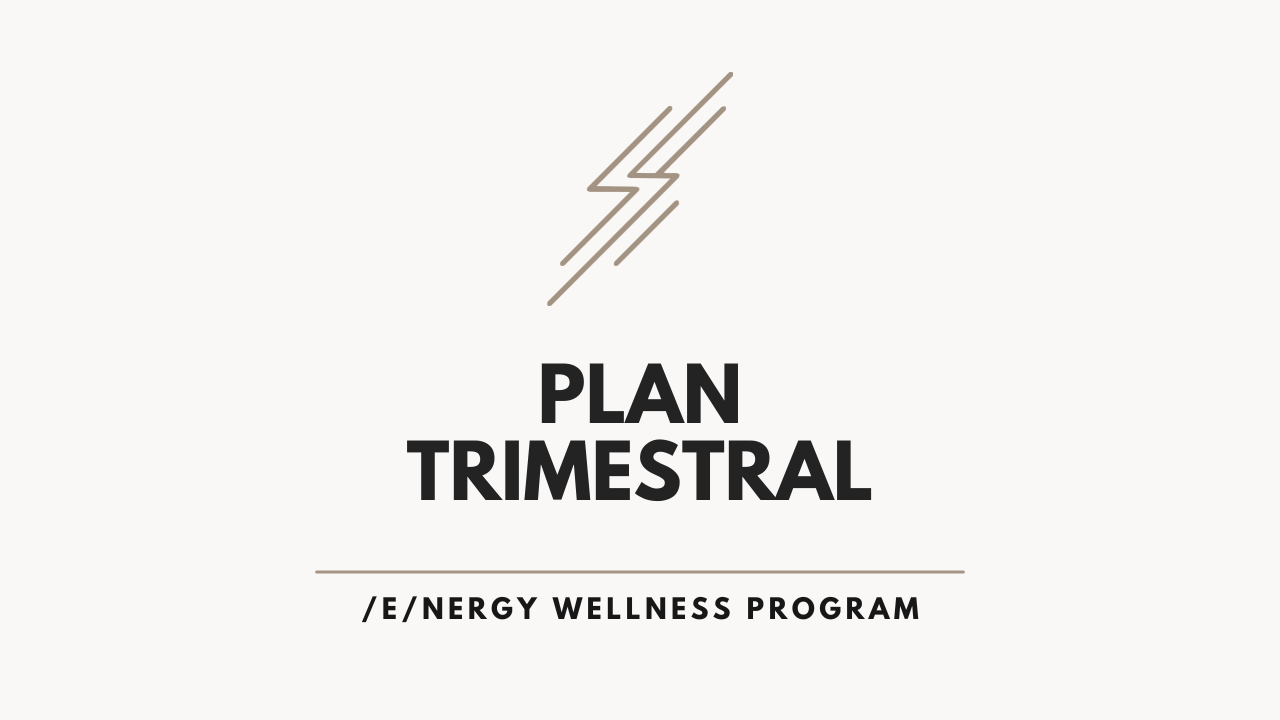 PLAN TRIMESTRAL