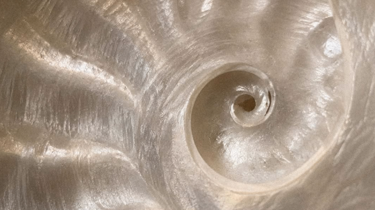 Find Your Bearings: a 25-minute ritual to get out of your head and find your direction again.
