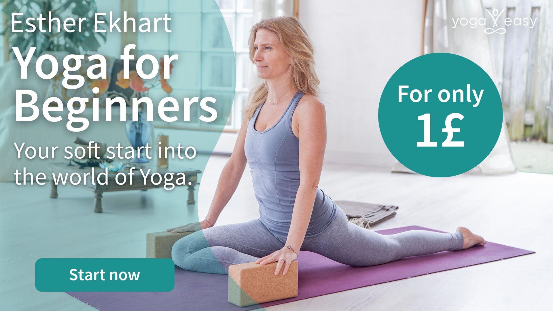 YogaEasy Collection "Yoga for beginners course" 