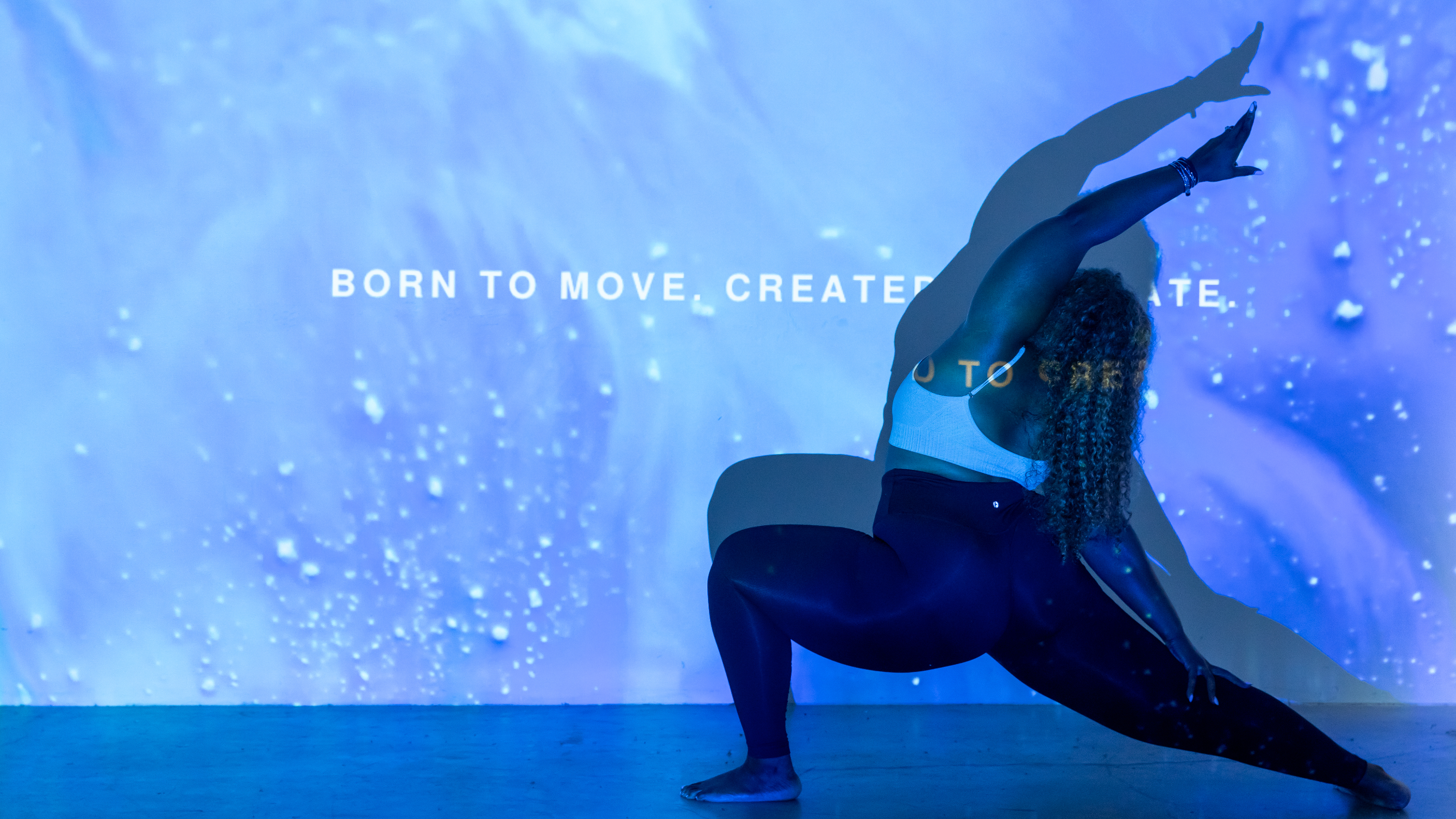 Pro-Annual Subscription