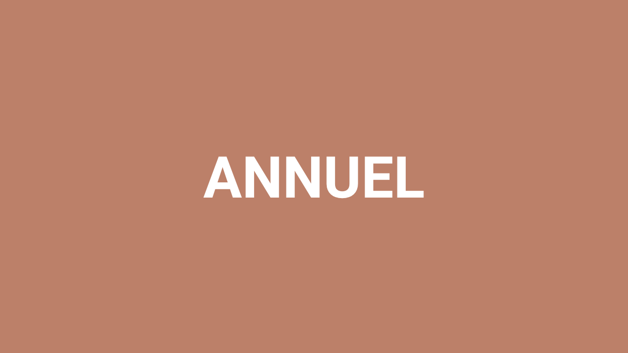 BEST SELLER - plan annuel 