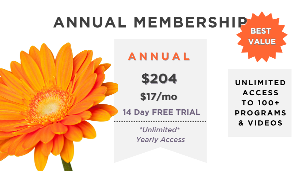 12 Month Subscription