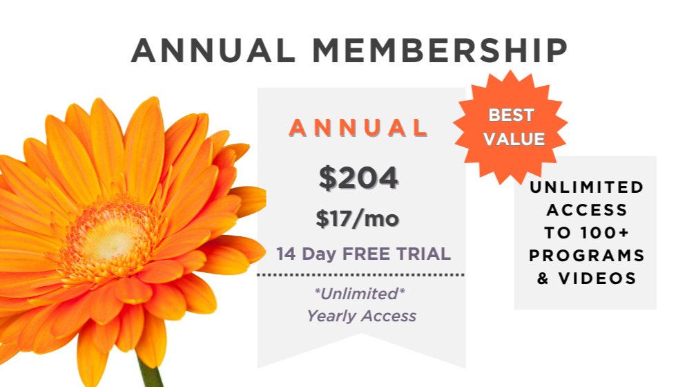 12 Month Subscription