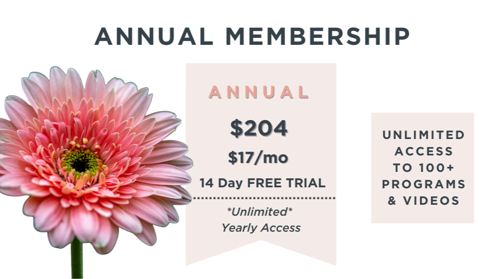 12 Month Subscription