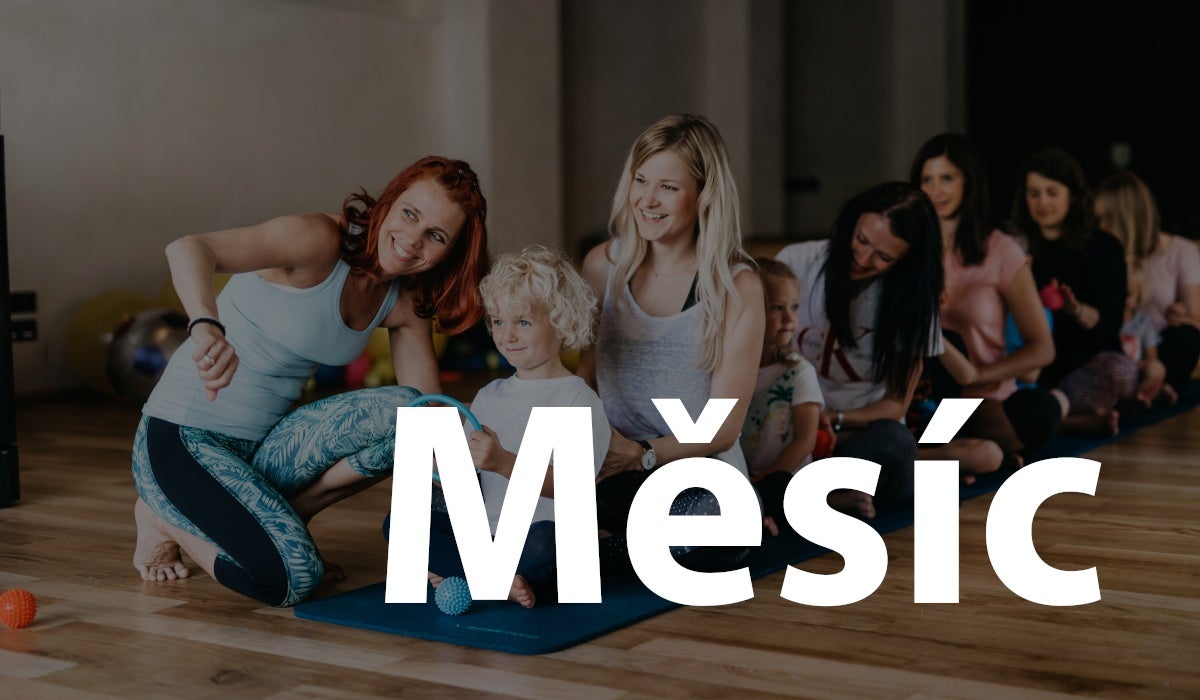 Měsíční předplatné