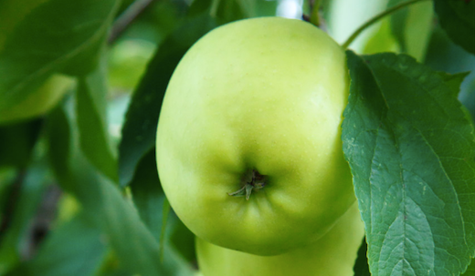 Groupon Special Promotion - Films For Change Monthly Subscription