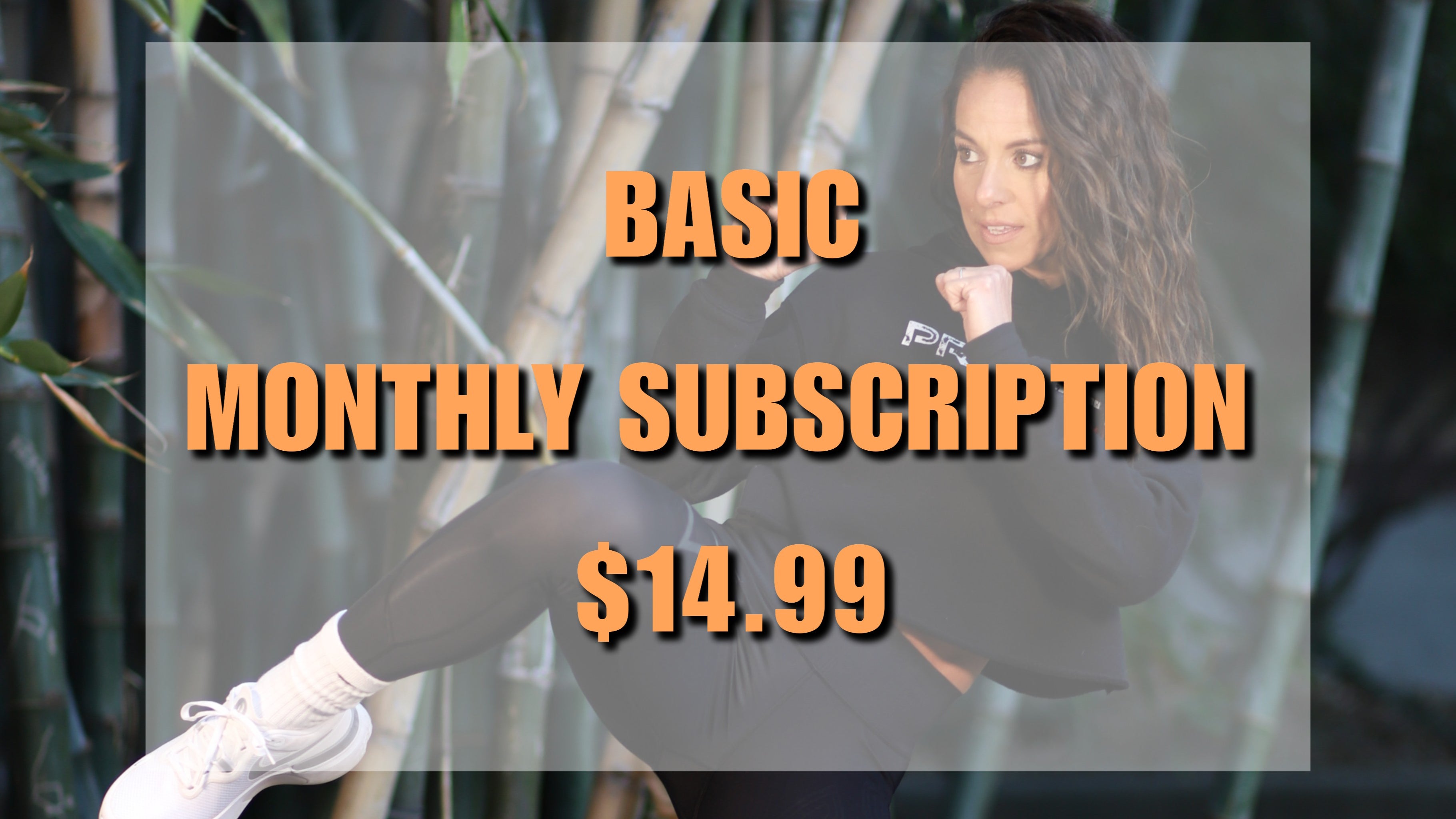 BASIC MONTHLY SUBSCRIPTION