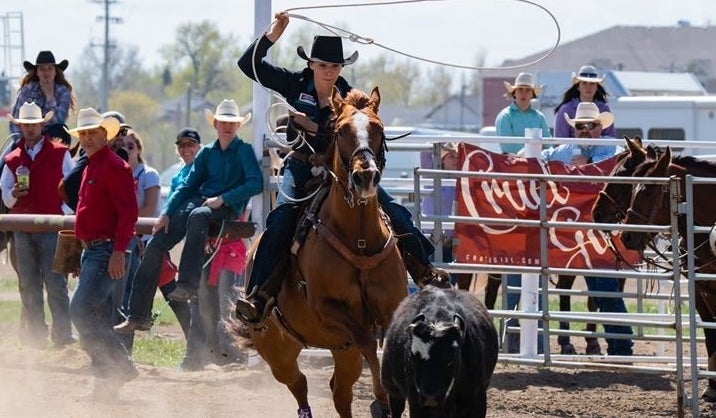 Performance Hoof Care Series