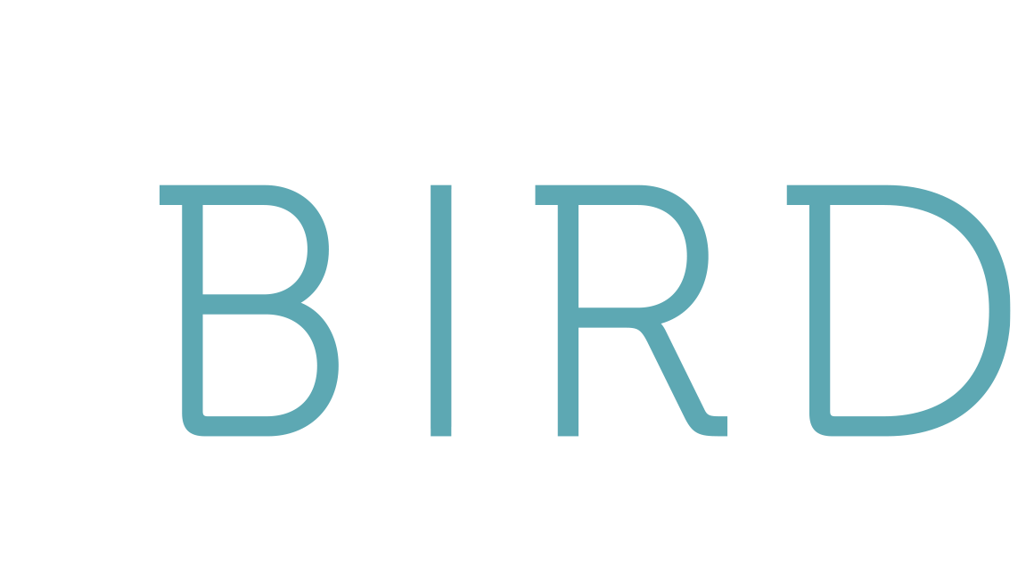 Annual Membership Subscription