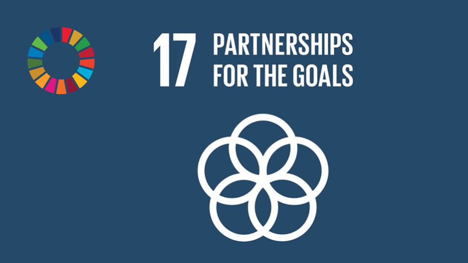 Become a supporter of SDG.VISION