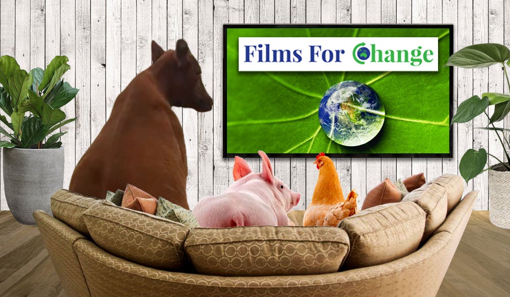 Free Sixty Day Trial - For Veganuary Participants