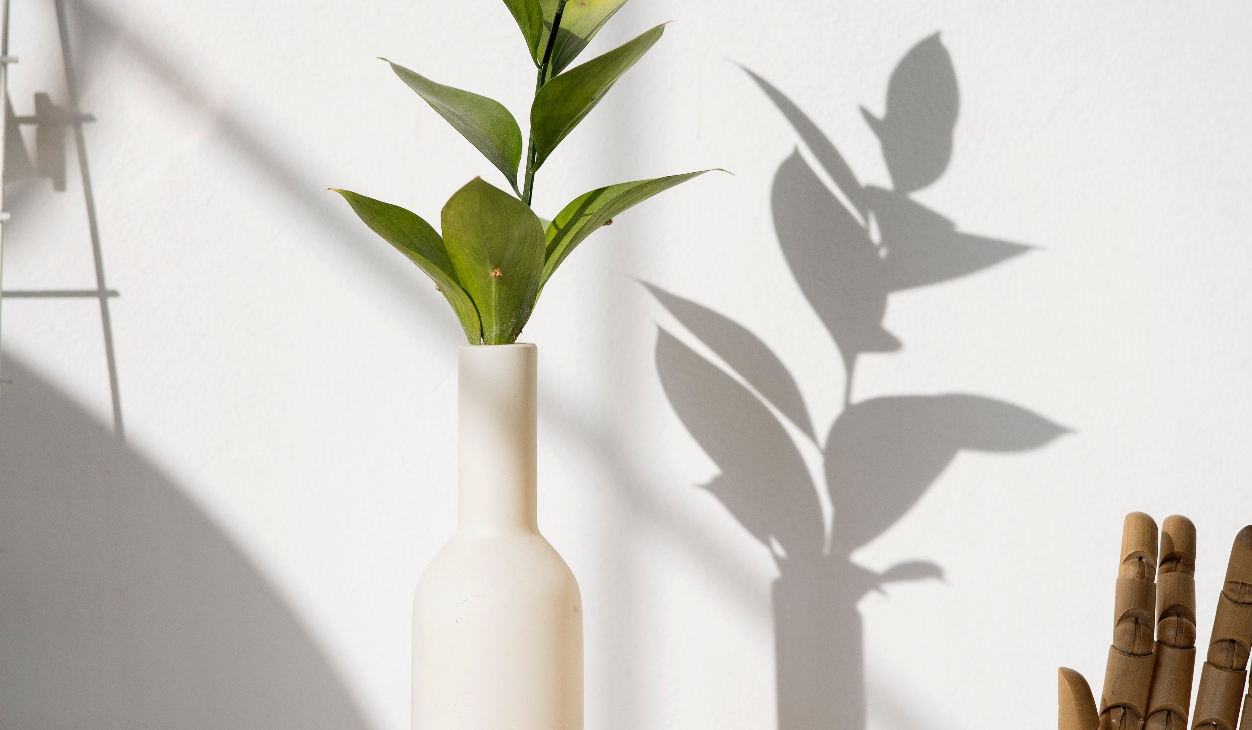 Monthly VIP Member (includes live Zoom classes)