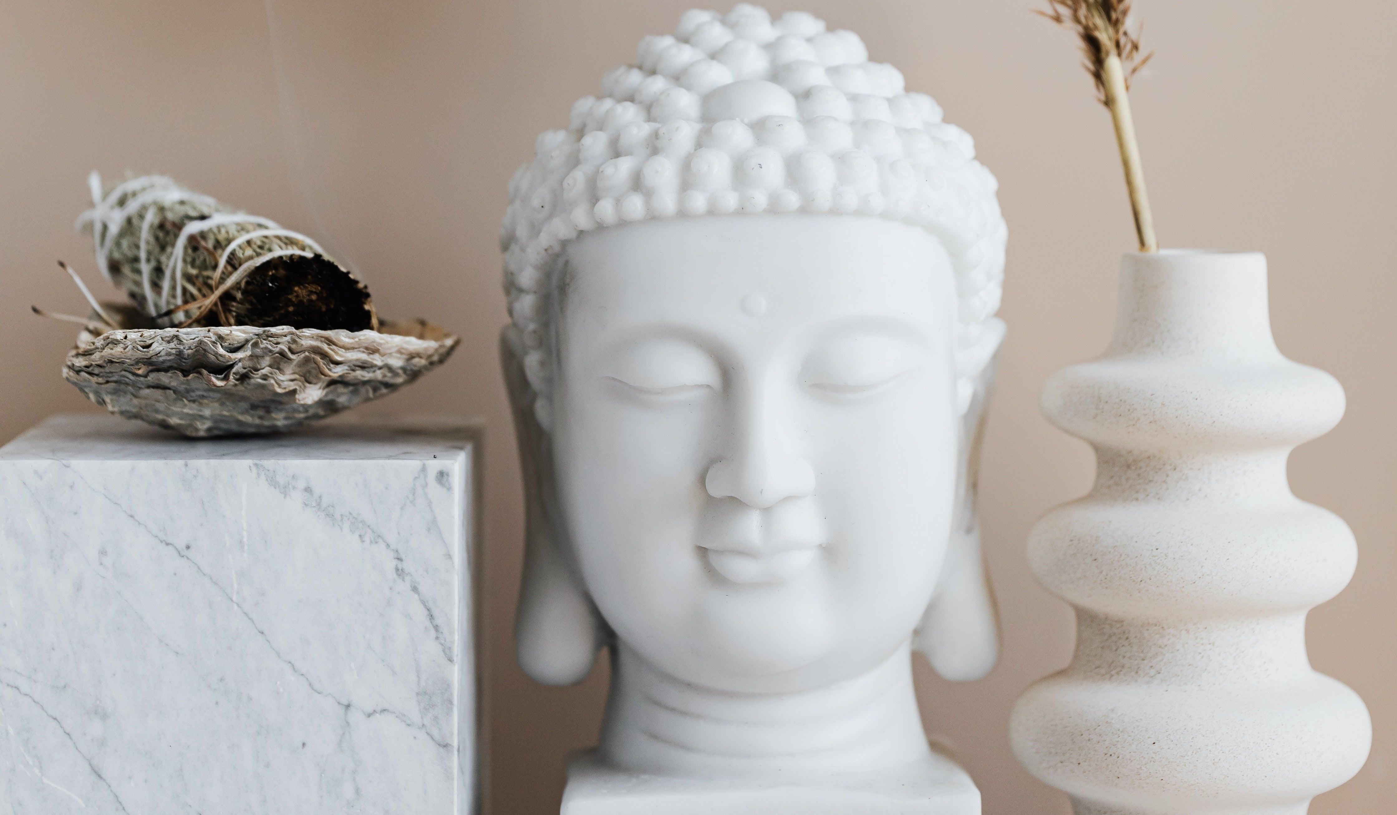 Annual VIP Membership (includes live Zoom classes)