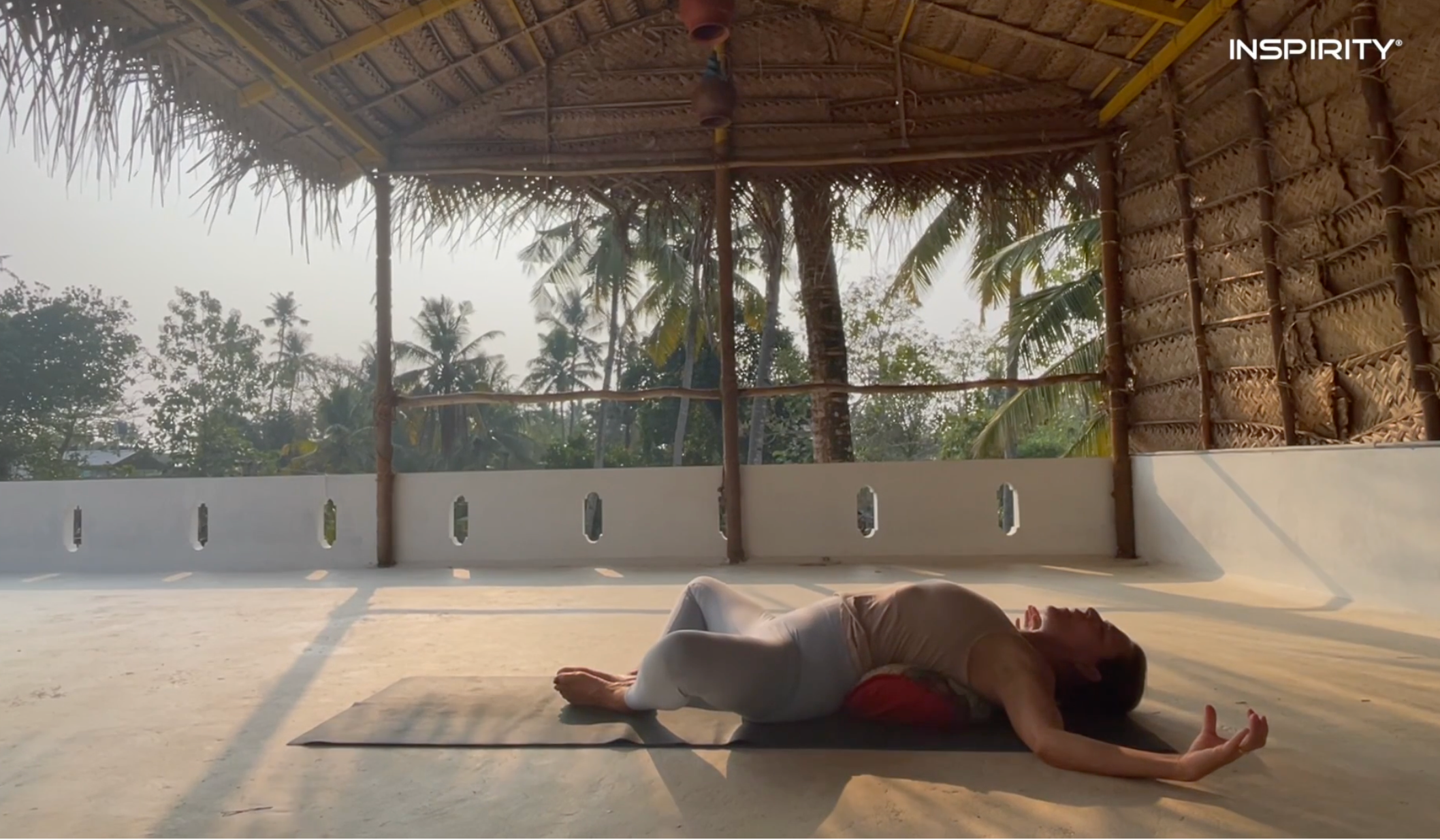 Programa Yin Yoga - Wu Xing (Tierra, Madera, Fuego, Metal y Agua)