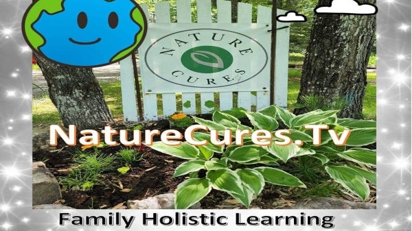 A One Year Contribution to Holistic Learning