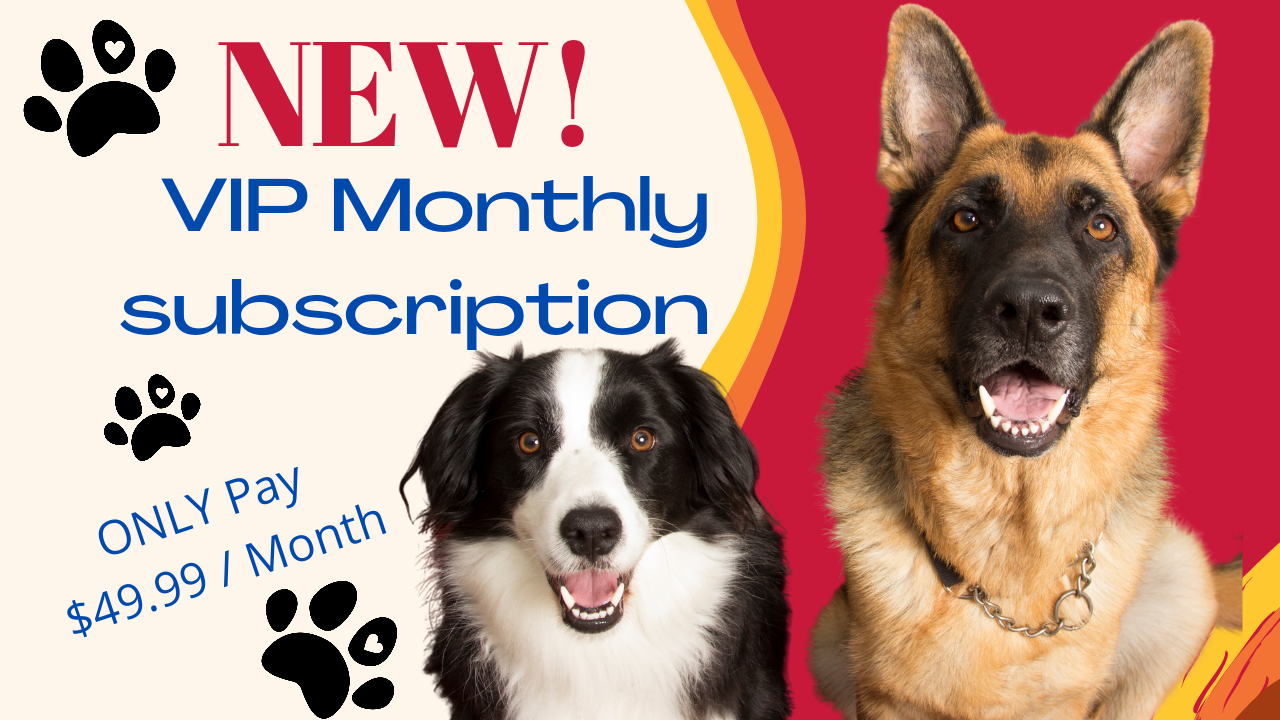 VIP Monthly Subscription