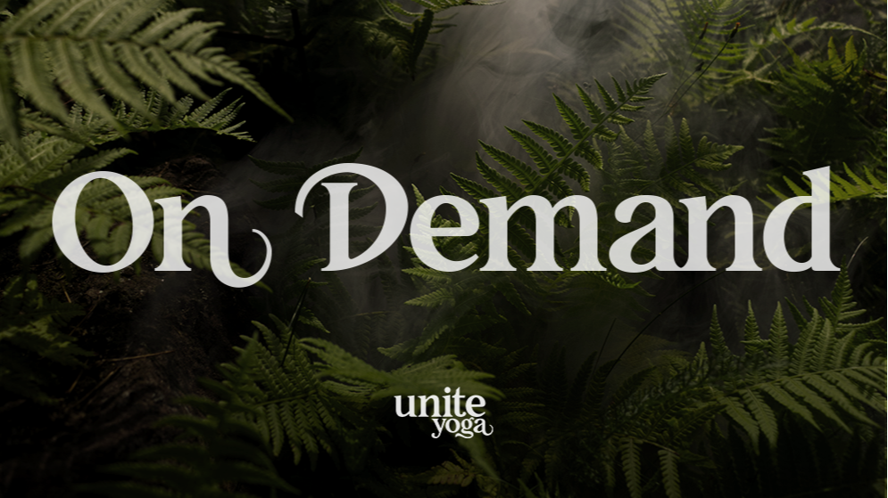 On Demand 14 DAY TRIAL