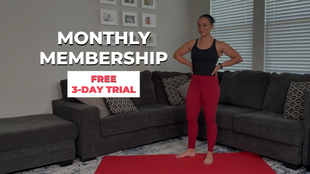 Alignment Academy Monthly Membership