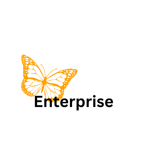 Enterprise