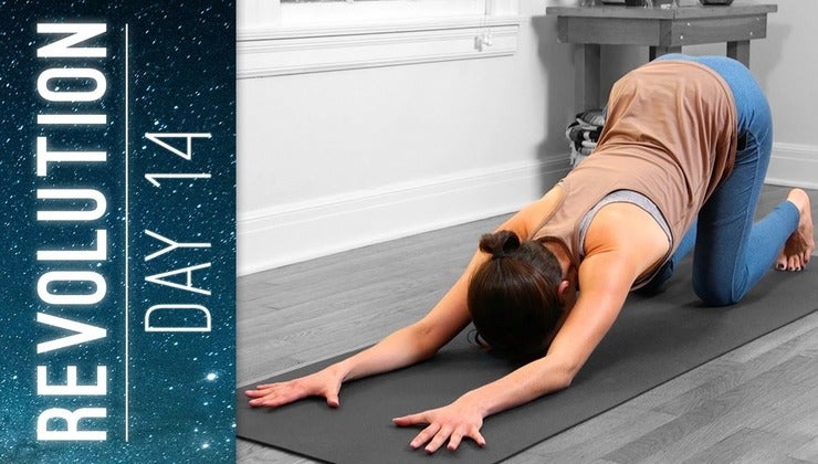 Revolution - Day 14 - Forgiveness Practice