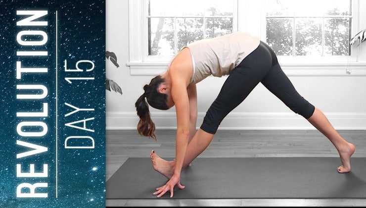 Revolution - Day 15 - Fearless Practice