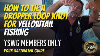 How To Tie a Dropper Loop Knot for Yellowtail Fishing
