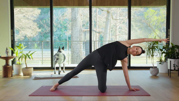 Dedicate - Day 25 - Alive