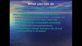 Marine Pollution What Everyone Needs to Know - with Author Judith Weis