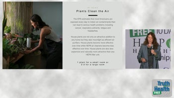 Why Bringing Plants Into Your Home Is Important For Your Health - By Author Anna Maria Clement