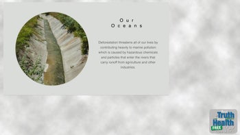 Your Good Health Depends On Clean Oceans And Healthy Trees - By Author Anna Maria Clement