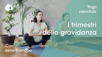 I trimestri della gravidanza