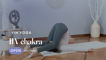 Il V chakra