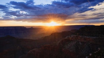 The Joy of Missing Out (JOMO) Meditation