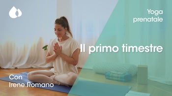 Il primo trimestre