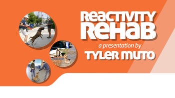 Reactivity Rehab