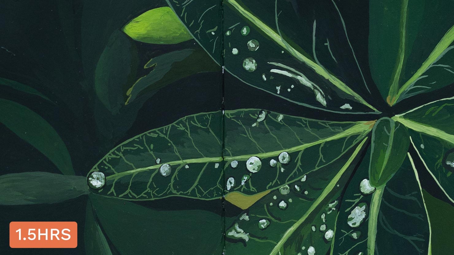 Dark to Light A Detailed Botanical Realism with Gouache Etchr Studio