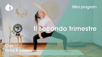Il secondo trimestre
